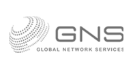 GNS (Global Network Services) | Logo